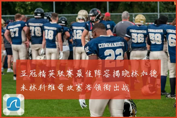 亚冠精英联赛最佳阵容揭晓林加德米林科维奇坎塞洛领衔出战