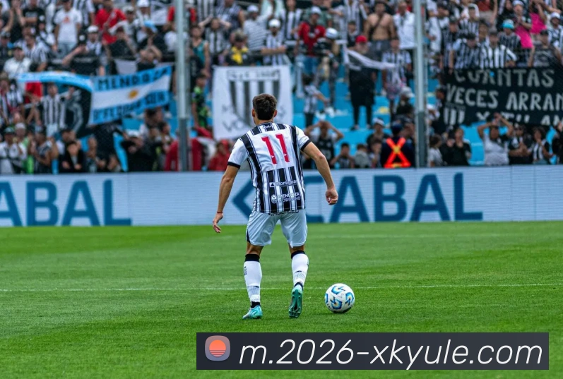 星空娱乐平台生态图